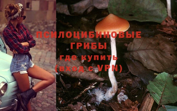 альфа пвп Гусь-Хрустальный