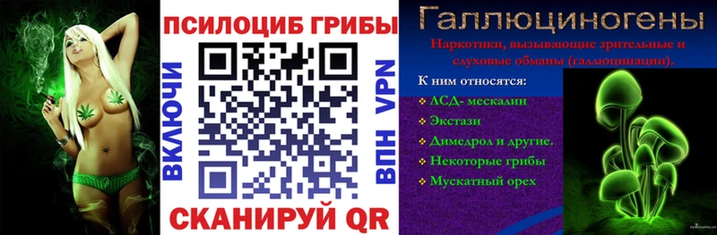 Псилоцибиновые грибы мицелий  МЕГА ONION  Юрьев-Польский 